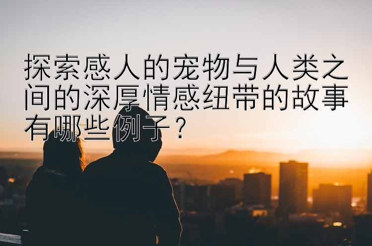 探索感人的宠物与人类之间的深厚情感纽带的故事有哪些例子？