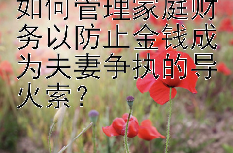 如何管理家庭财务以防止金钱成为夫妻争执的导火索？