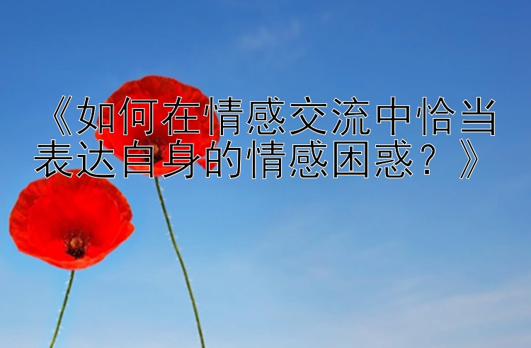 《如何在情感交流中恰当表达自身的情感困惑？》