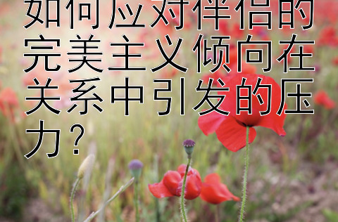 如何应对伴侣的完美主义倾向在关系中引发的压力？