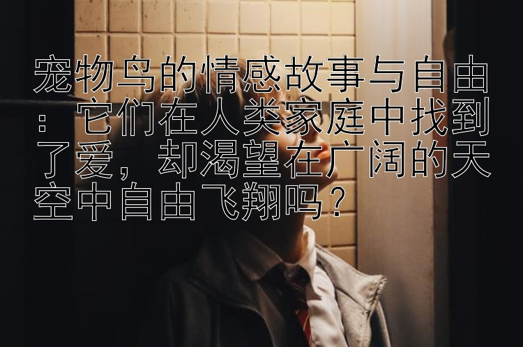 宠物鸟的情感故事与自由：它们在人类家庭中找到了爱，却渴望在广阔的天空中自由飞翔吗？