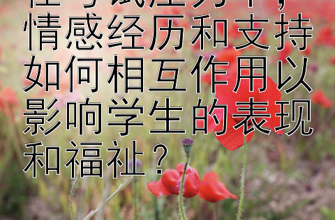 在考试压力下，情感经历和支持如何相互作用以影响学生的表现和福祉？