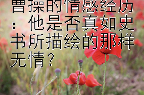 曹操的情感经历：他是否真如史书所描绘的那样无情？